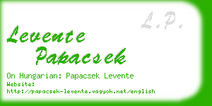 levente papacsek business card